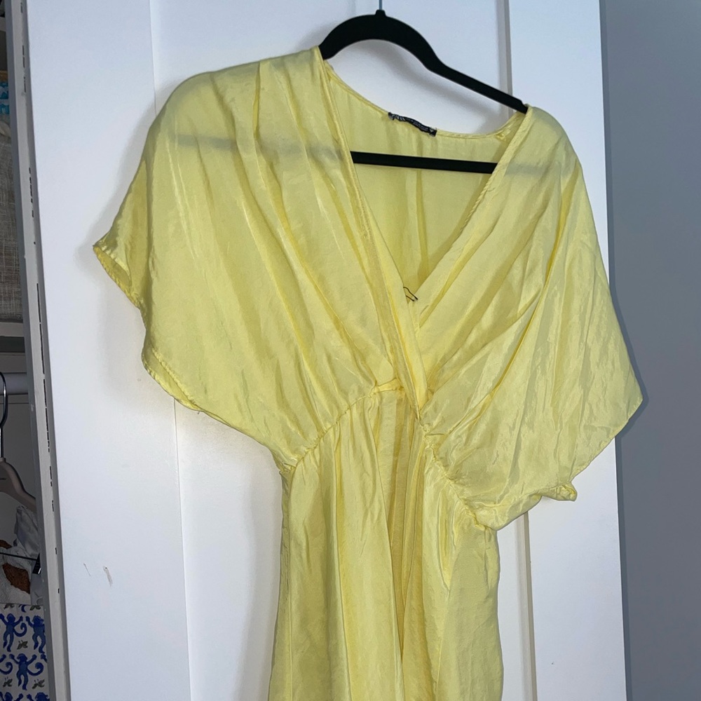 Zara dress